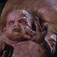 Illustration for article titled The Long, Strange Saga of emTotal Recall 2/em